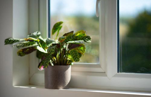 Knowle Cabin - Foto 23