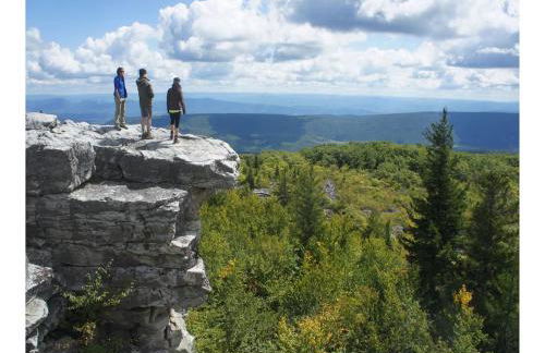 Rippling Waters close to Timberline ski slopes - Photo 49