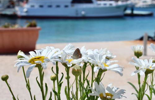 Desy Appartamenti - Foto 37