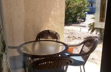 Sea Palm E - Foto 25