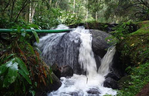 Reserva Atibaia / Casa de Montanha - Photo 28