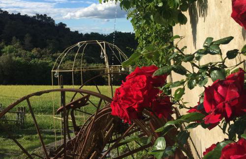 Agriturismo San Carlo - Foto 46