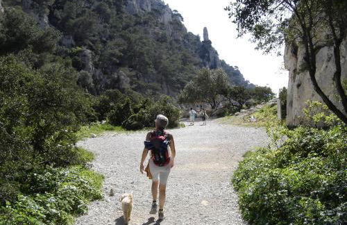 Cairenou Location - Foto 37