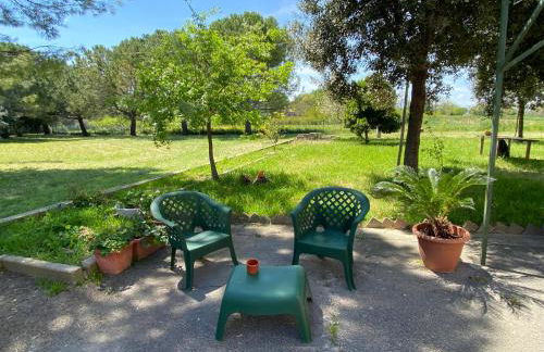 Adamasseria - Foto 38