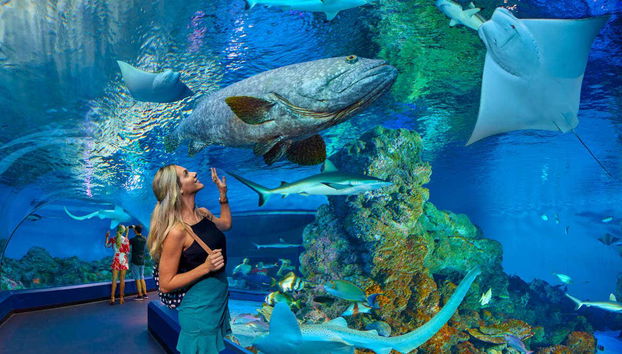 Acuario de Cairns