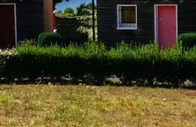 Appartement charmant à La Salvetat-sur-Aout 50 m² avec jardin - Foto 11