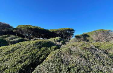 Villa Marghe - Foto 65