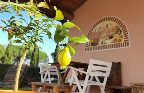 Villa Donnola: casa Rosmarino - Foto 23