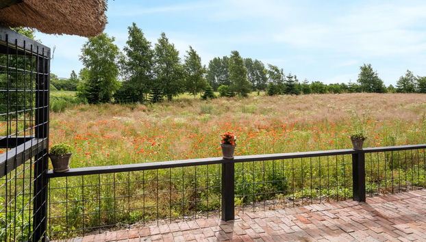 "Maileen" - 2.1km to the fjord - Foto 3, View