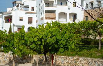 Bella Vista - Photo 17