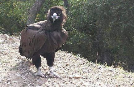 Hotel-Apartments La Strada - Foto 49