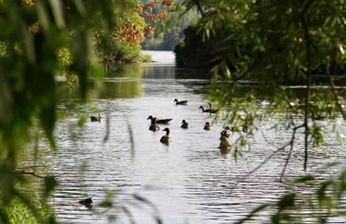 Chalet an der Donau direkt bei Regensburg, 5 Sterne DTV - Foto 23