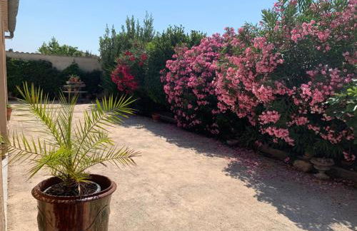 Appartement Salvaterra - Foto 28