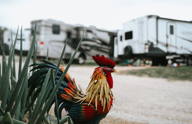 Al's Hideaway Cabin and RV Rentals LLC - Foto 64