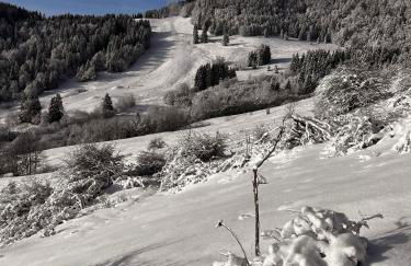 Stecher's Hüsli - Foto 35