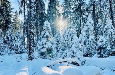 Ferienwohnung Haus Alpenblick - Foto 24