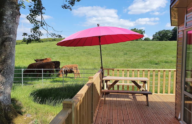 Gaerhyfryd Static Caravan - Foto 11