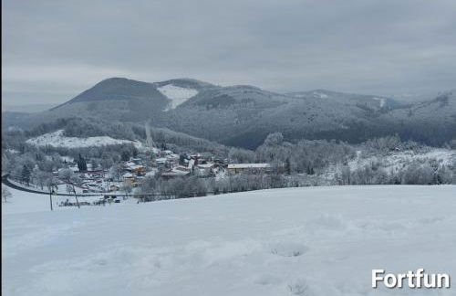 HAUS BRAILEN in Brilon Alme - Foto 56