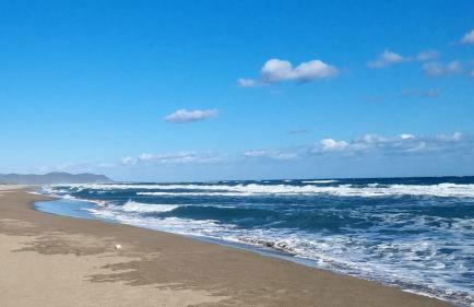 Diongard House - Foto 48