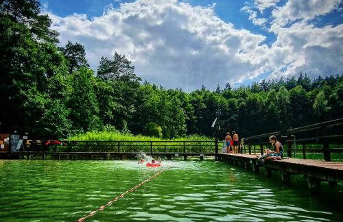 Osada Miłojeż - całoroczne Domy Premium w Borach Tucholskich, Jacuzzi pod gwiazdami - Foto 34