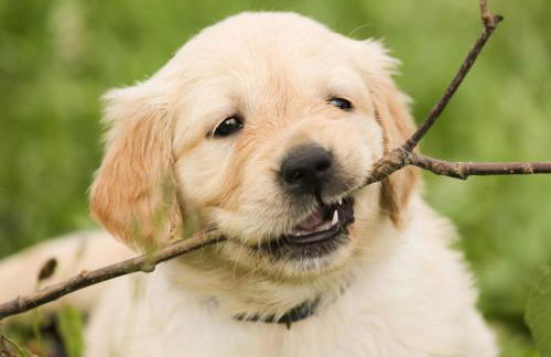 Modern apartment with 2 bathrooms in Lirstal - Foto 55