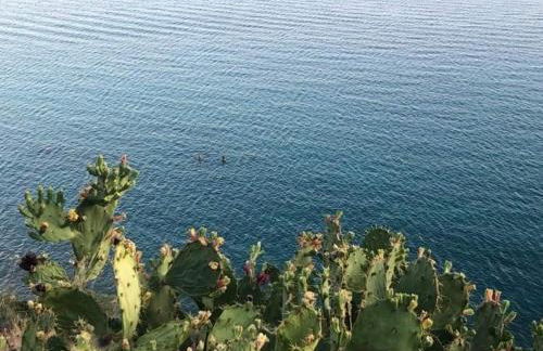 Top of the hill in Drepano-Nafplio, Beautiful view - Foto 45