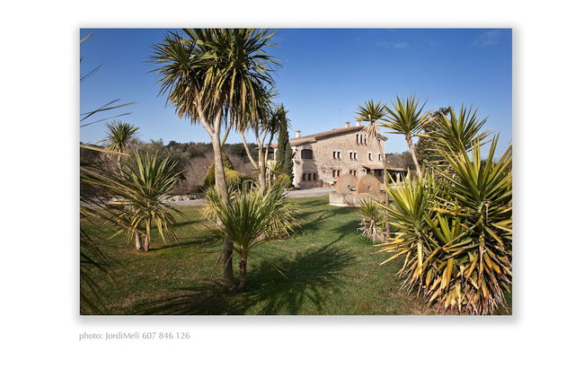 Mas Moli Petit - Photo 39