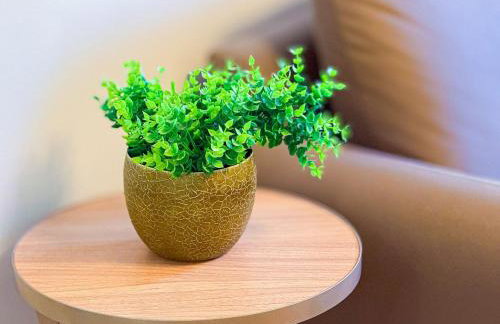 Belíssimo Ap na Praça - Wi-fi e Piscina - Foto 17