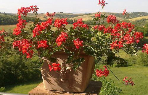 Agriturismo Il Paradiso - Foto 112