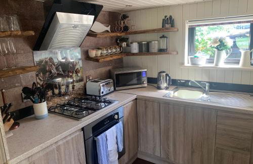 Oak Tree Lodge: Unique 2 level Shepherd's Hut: Dartmouth - Foto 10