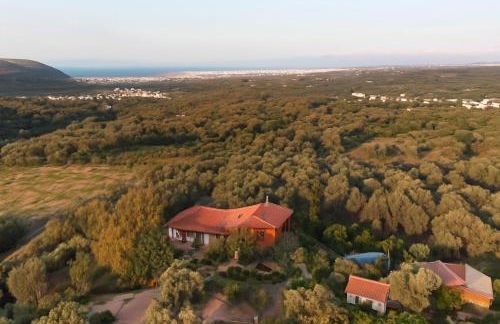 Rustic Retreat - Private Pool in Nature's Embrace - Photo 31