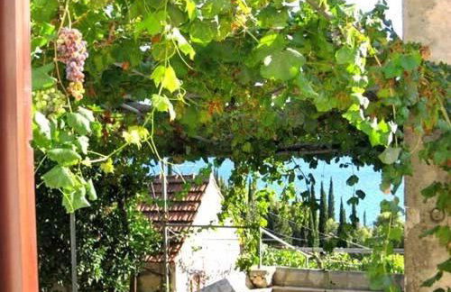 House Antun - Foto 24