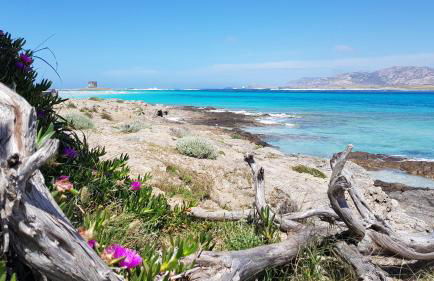 “CIELO E MARE”, CASETTA NEL CUORE DEL BORGO ANTICO / “SKY & SEA”, CHARMING IN THE HEART OF OLD VILLAGE - Foto 54