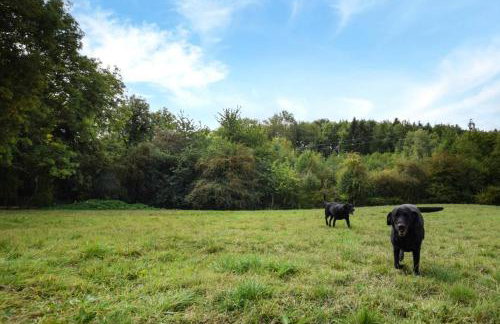 5 Bed in Clows Top oc-m32976 - Foto 35