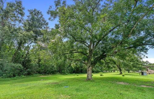 Country Living with Fishing and Bright Stars - Foto 31