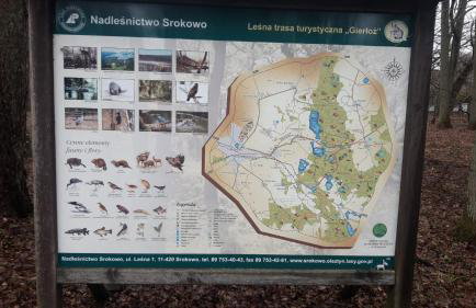 Zacisze pod brzozami - Foto 35