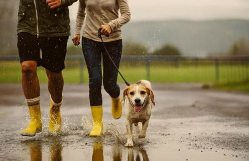 BPS Apartment #13 View - NEU - Natur - Deluxe - Modern - Foto 36