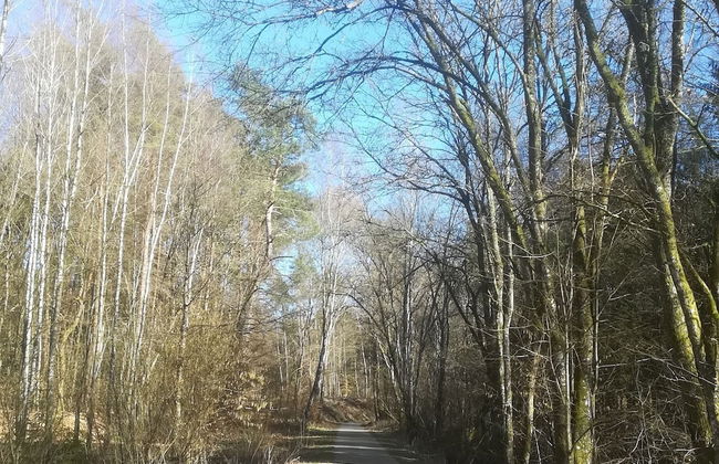 Nice Chalet by the Woods in Saint-leger - Foto 24