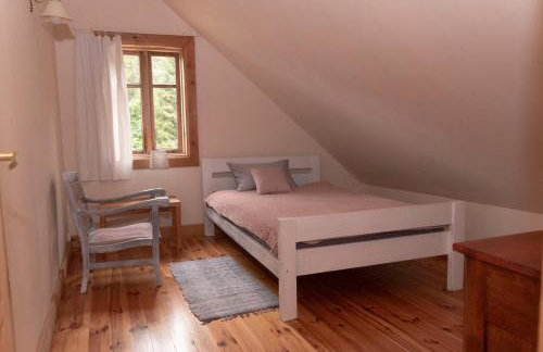 Butterfly Factory - Foto 30