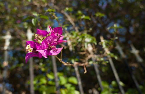 Casa Terra Mani - Photo 33