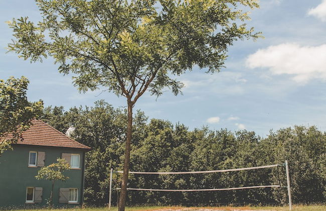 Terres de France - Domaine de Claire Rive - Foto 21