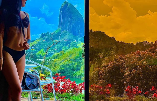 Hotel Selva Negra - Photo 47