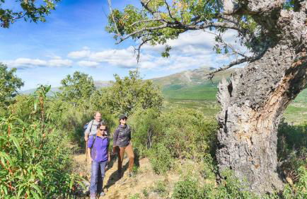 Casa rural El Roble Hueco - Foto 80