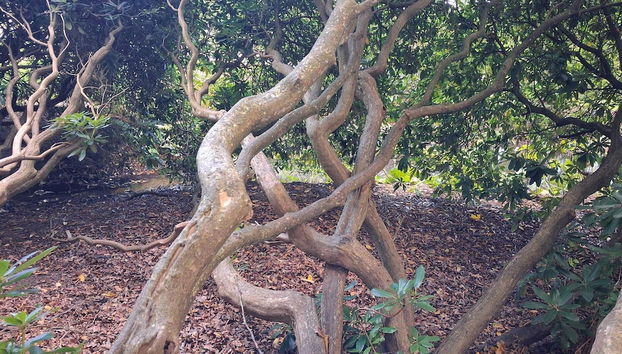 6 Person Holiday Home in Saeby-by Traum - Foto 5