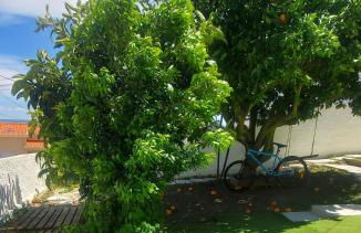 Casa da Laranjeira, perto de Obidos, Budha Eden, Dinossauros parque - Foto 5