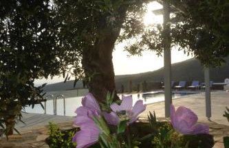 Celini Suites Hotel - Photo 23