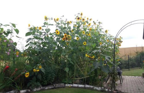 W starej szkole - agroturystyka - Foto 40