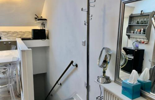 Skylight luxury loft Apartment - Foto 19