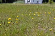 DoWielina - domki wśród natury - Foto 55