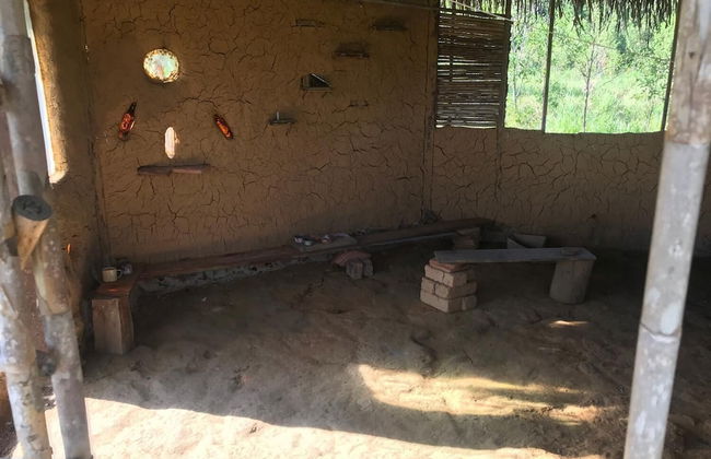 Ayahuaska - Photo 11